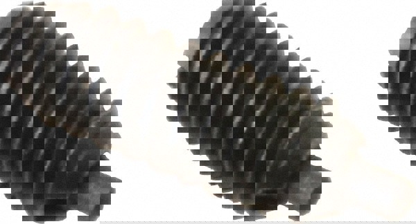 Threaded Spring Plunger: #6-32, 3/8